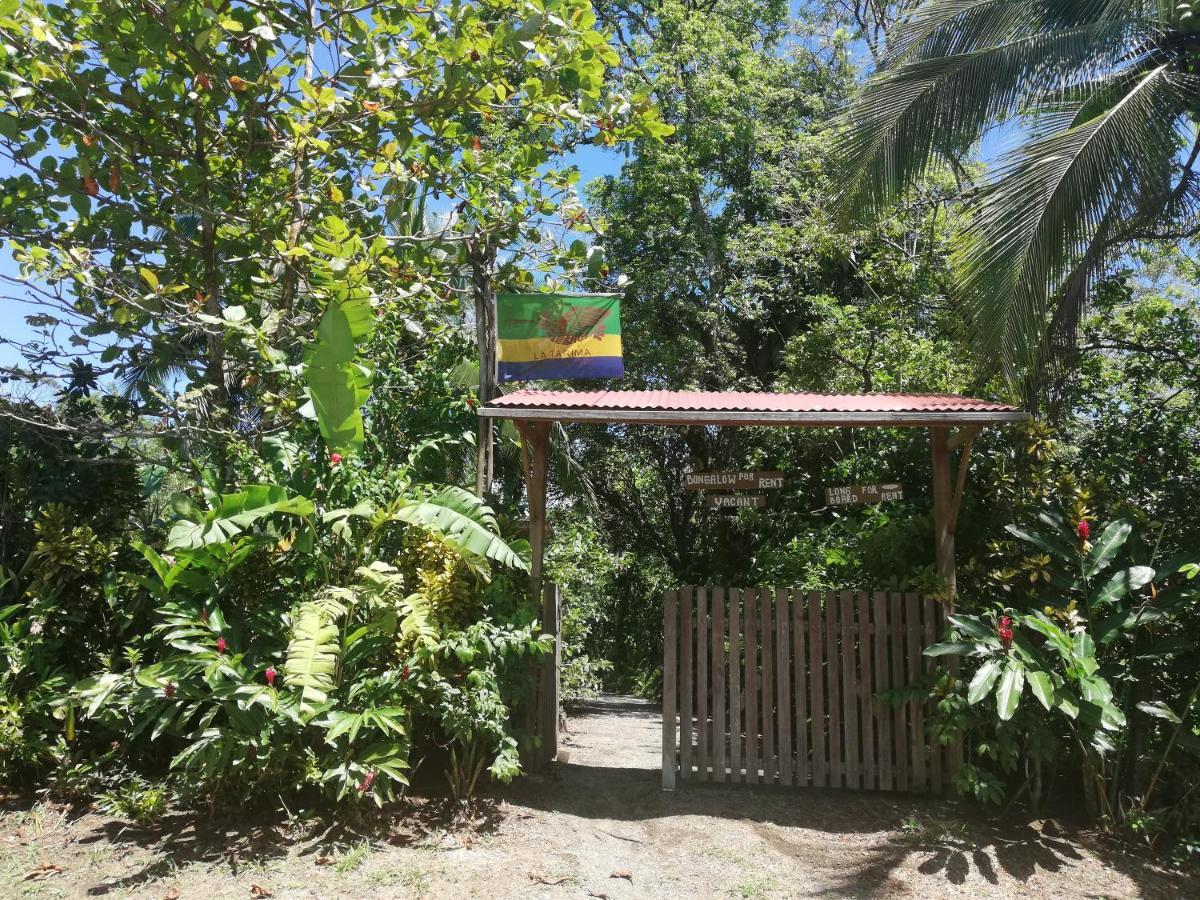 La Tarima Del Colibri Ecolodge El Valle  Екстериор снимка