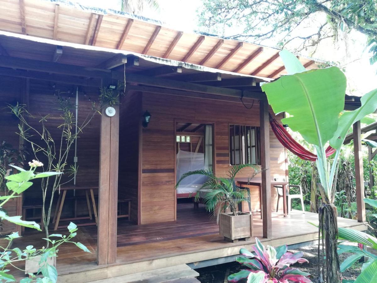 La Tarima Del Colibri Ecolodge El Valle  Екстериор снимка