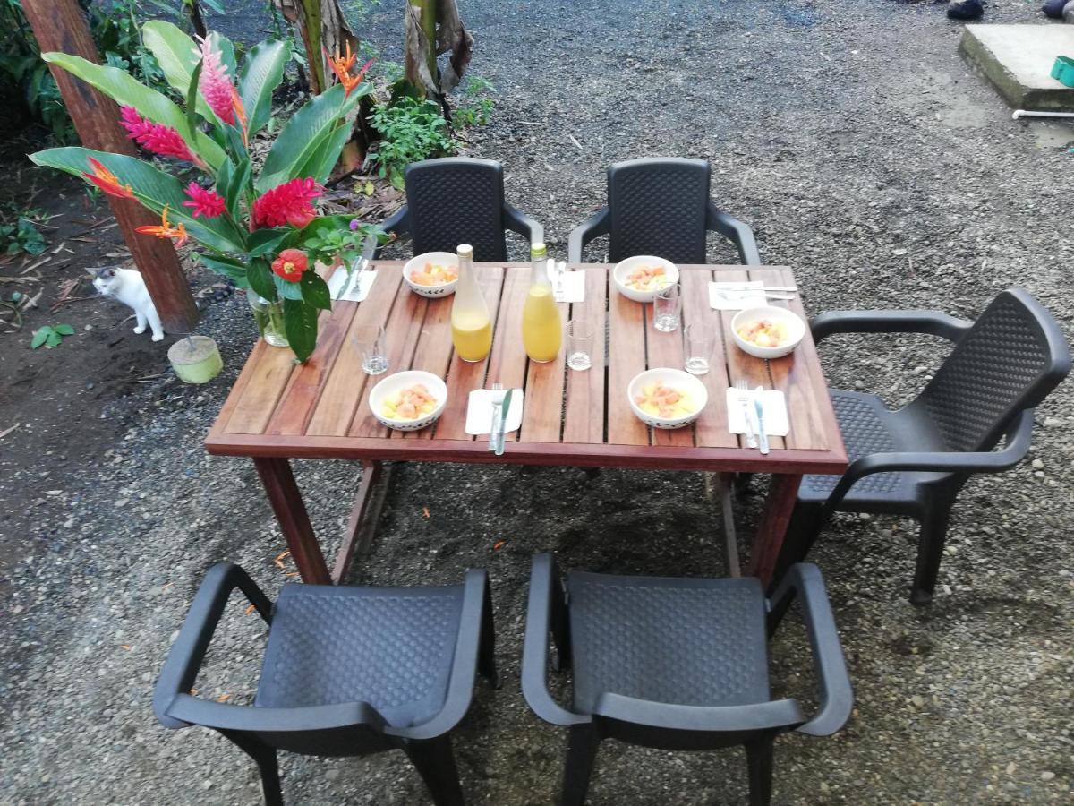 La Tarima Del Colibri Ecolodge El Valle  Екстериор снимка