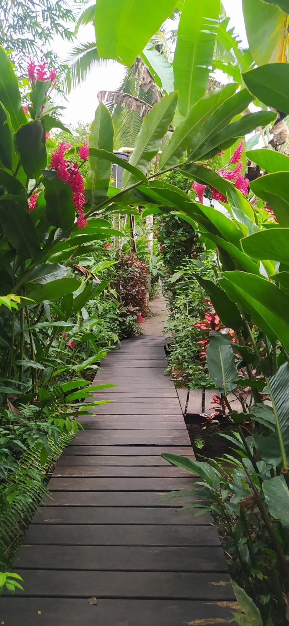 La Tarima Del Colibri Ecolodge El Valle  Екстериор снимка