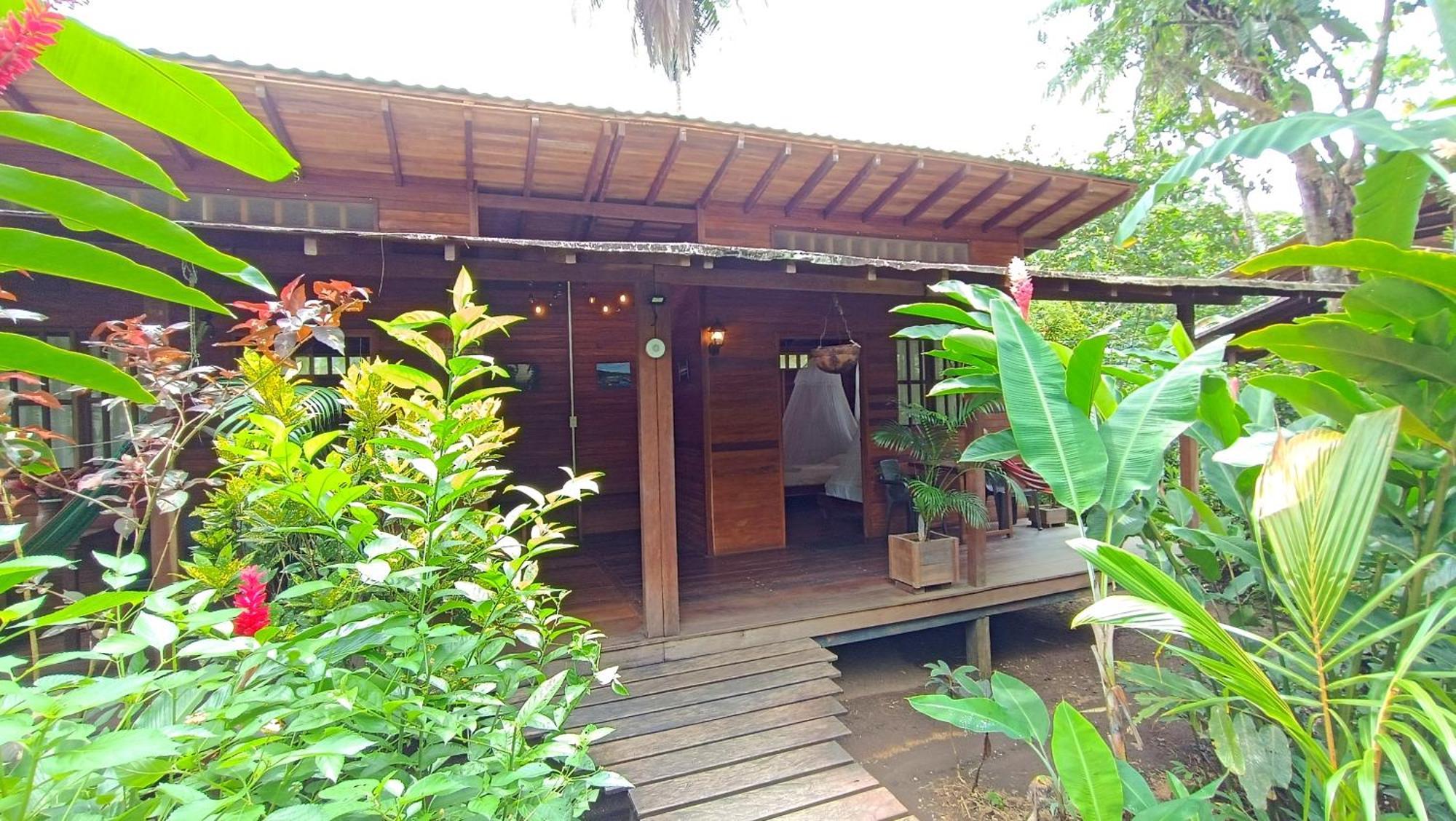 La Tarima Del Colibri Ecolodge El Valle  Екстериор снимка