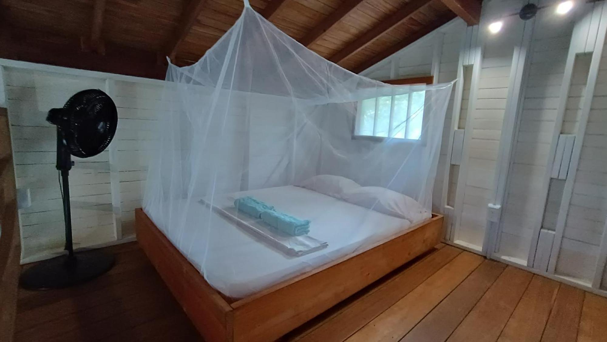 La Tarima Del Colibri Ecolodge El Valle  Екстериор снимка