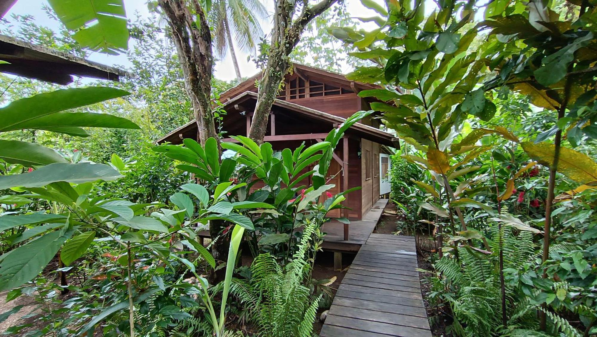 La Tarima Del Colibri Ecolodge El Valle  Екстериор снимка
