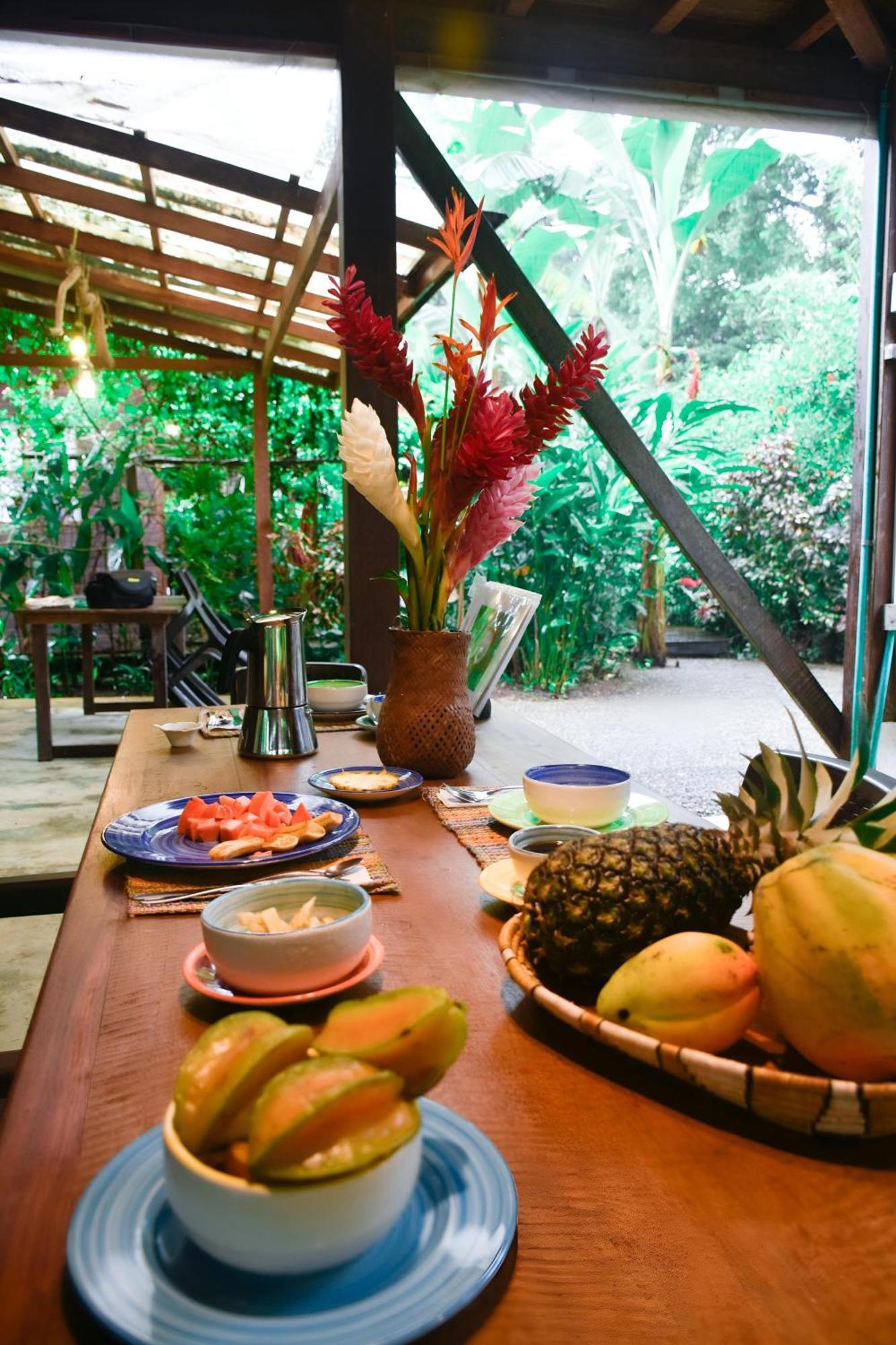 La Tarima Del Colibri Ecolodge El Valle  Екстериор снимка