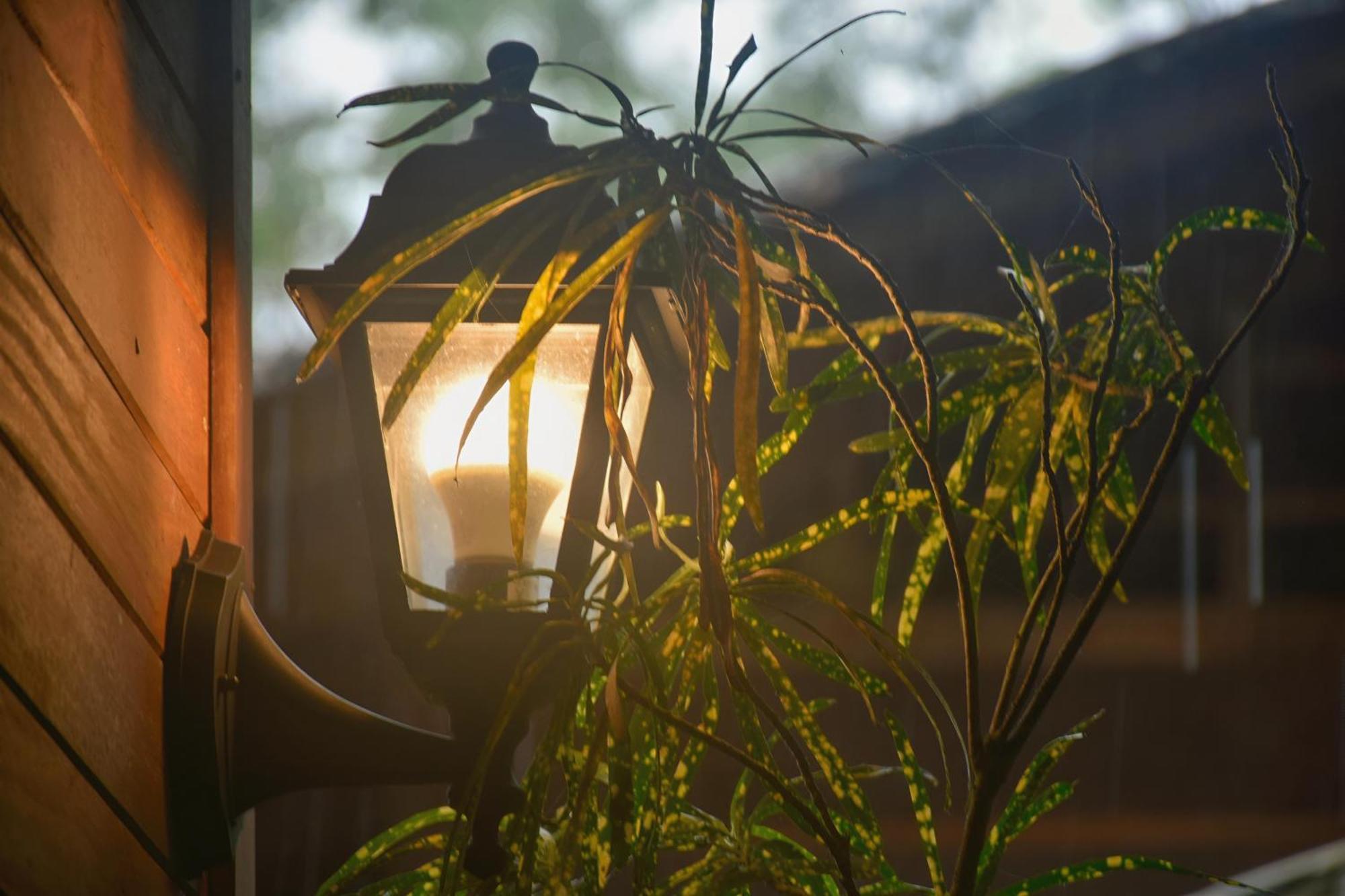La Tarima Del Colibri Ecolodge El Valle  Екстериор снимка