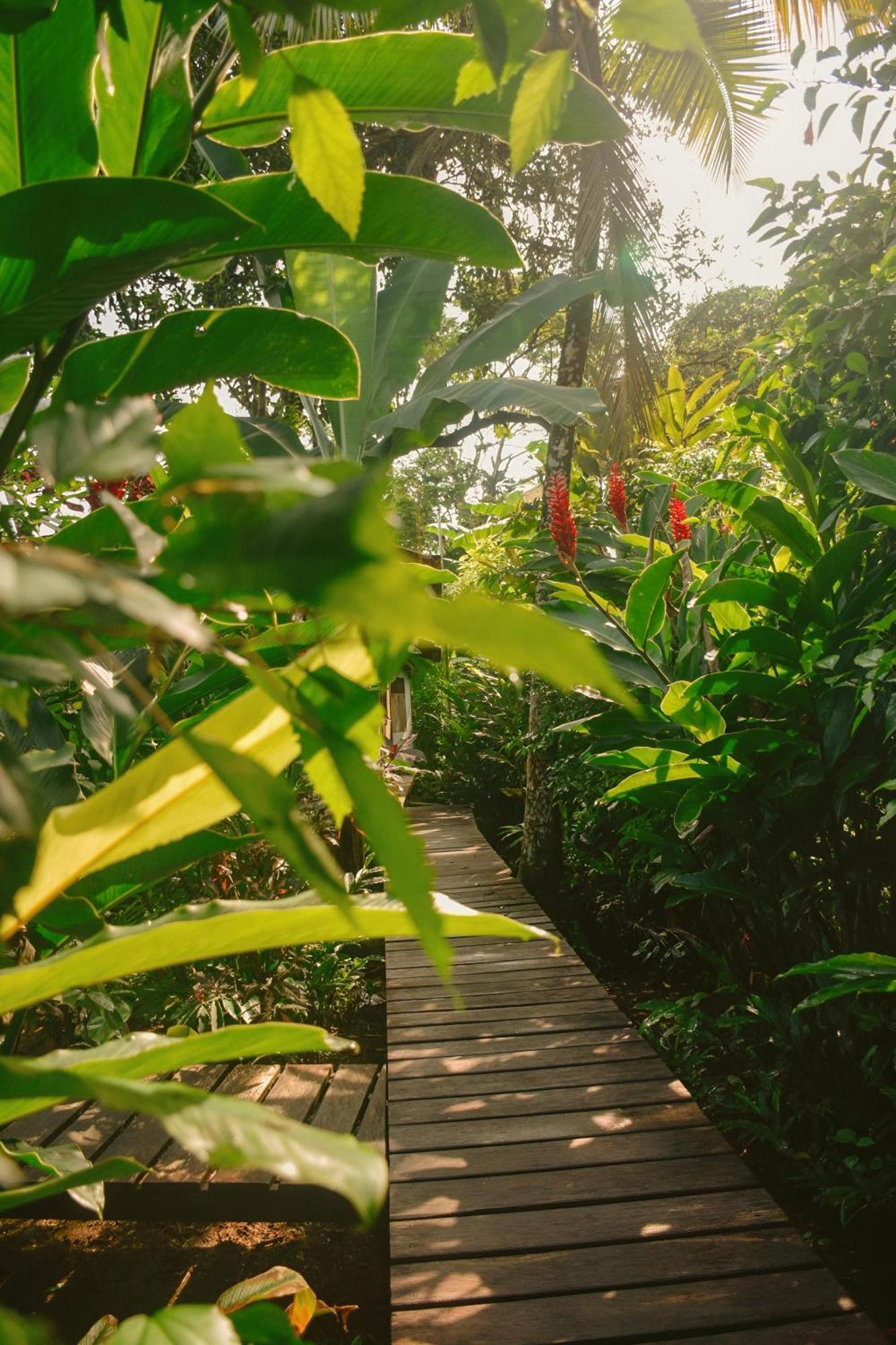 La Tarima Del Colibri Ecolodge El Valle  Екстериор снимка