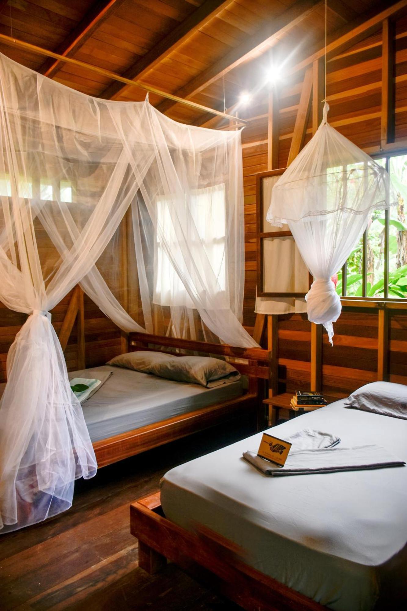 La Tarima Del Colibri Ecolodge El Valle  Екстериор снимка