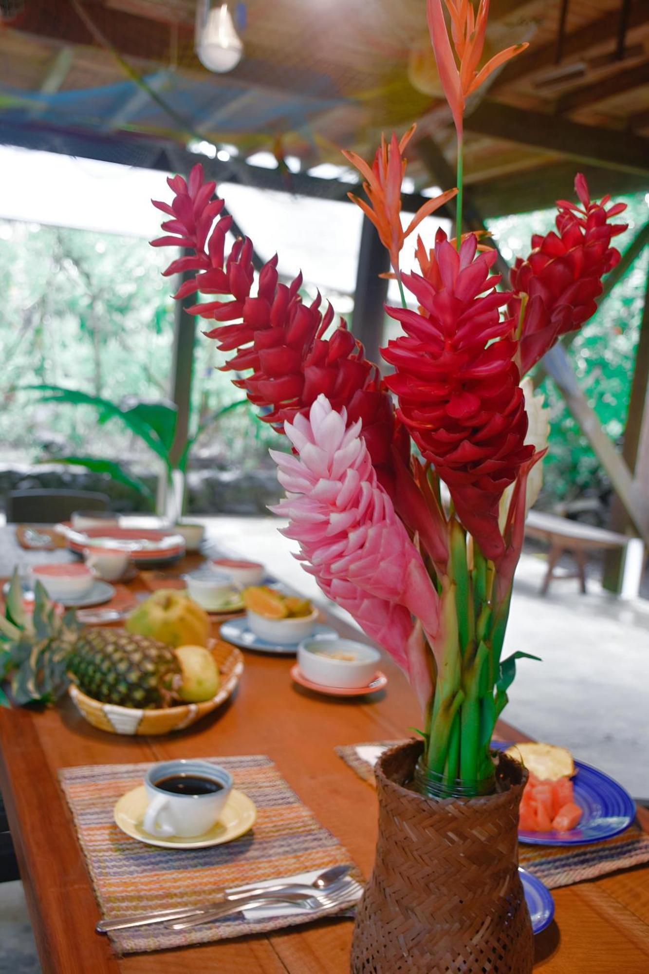 La Tarima Del Colibri Ecolodge El Valle  Екстериор снимка