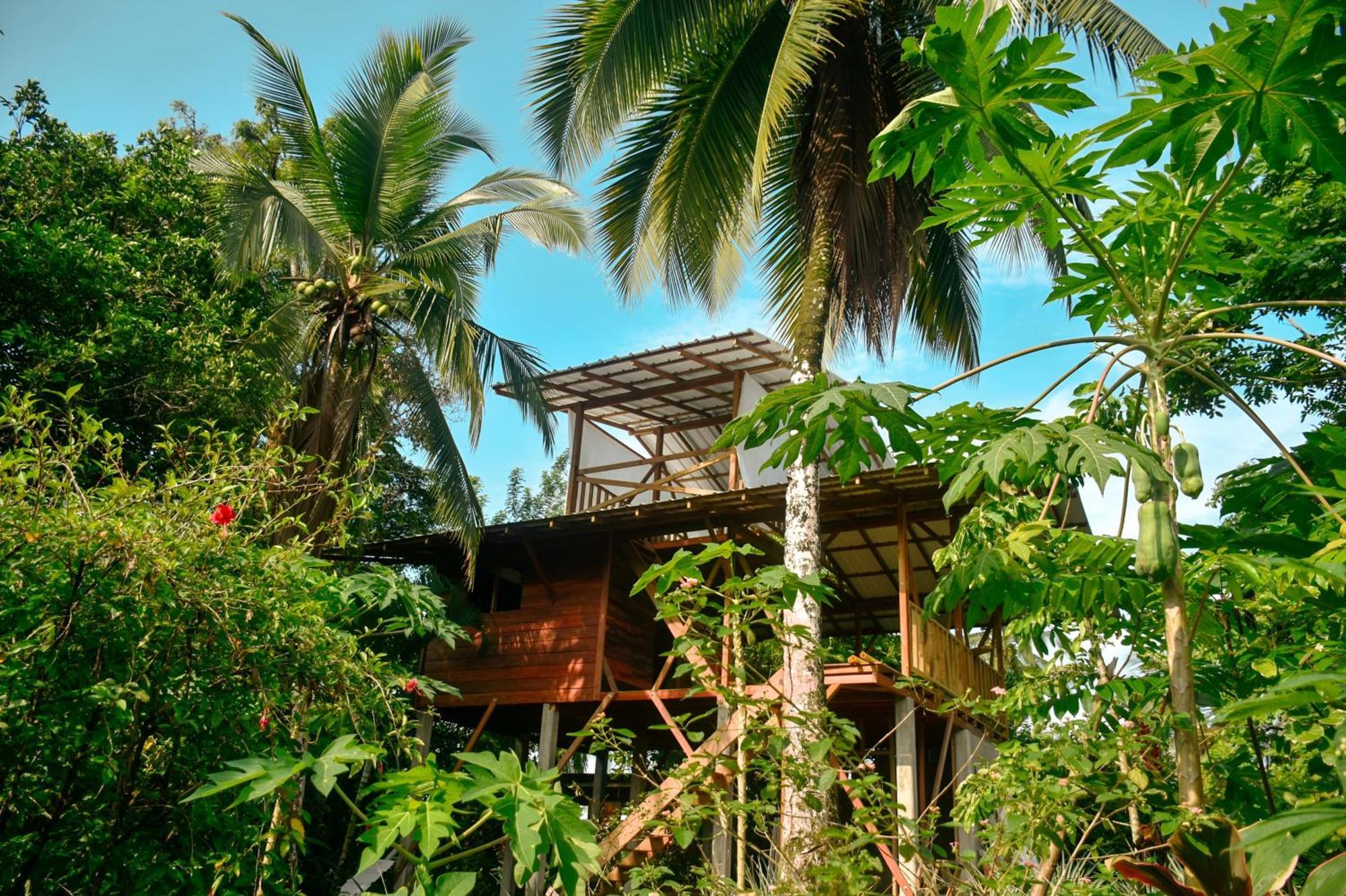 La Tarima Del Colibri Ecolodge El Valle  Екстериор снимка